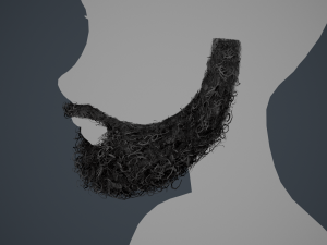 Facial Hair Cards Style 7 - Full Curly Beard Model 3D