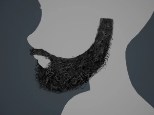 Facial Hair Cards Style 7 - Full Curly Beard 3D Model