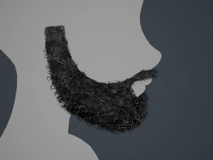 Facial Hair Cards Style 7 - Full Curly Beard 3D Model