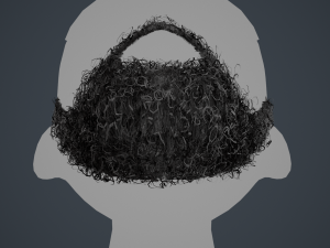 Facial Hair Cards Style 7 - Full Curly Beard Model 3D
