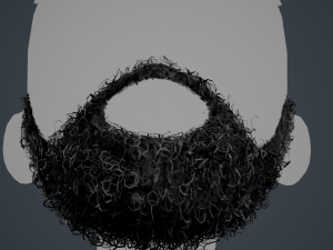 Facial Hair Cards Style 7 - Full Curly Beard Model 3D