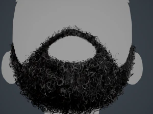 Facial Hair Cards Style 7 - Full Curly Beard 3D Model