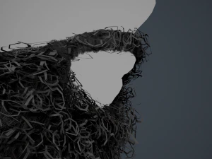 Facial Hair Cards Style 7 - Full Curly Beard 3D Model