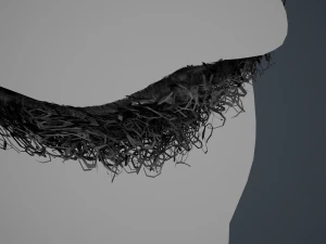 Facial Hair Cards Style 7 - Full Curly Beard 3D Model