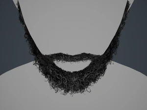 Facial Hair Cards Style 7 - Full Curly Beard 3D Model