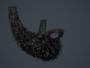 Facial Hair Cards Style 7 - Full Curly Beard Model 3D