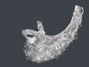 Facial Hair Cards Style 7 - Full Curly Beard 3D Model
