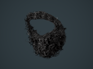Facial Hair Cards Style 8 - Curly Circle Beard 3D मॉडल
