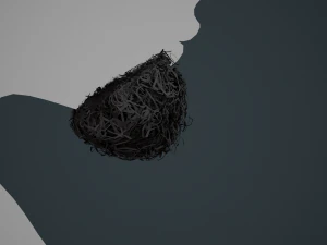 Carte per peli del viso Stile 9 - Barba con pizzetto riccio Modello 3D
