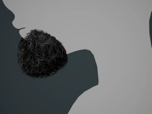 Carte per peli del viso Stile 9 - Barba con pizzetto riccio Modello 3D