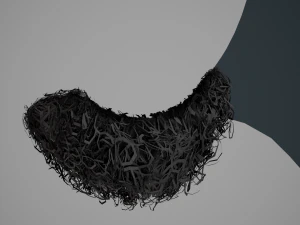 Carte per peli del viso Stile 9 - Barba con pizzetto riccio Modello 3D