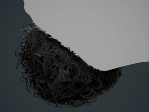 Carte per peli del viso Stile 9 - Barba con pizzetto riccio Modello 3D