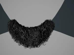 Carte per peli del viso Stile 9 - Barba con pizzetto riccio Modello 3D