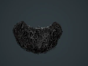 Carte per peli del viso Stile 9 - Barba con pizzetto riccio Modello 3D