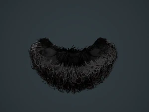 Carte per peli del viso Stile 9 - Barba con pizzetto riccio Modello 3D