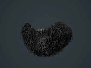 Carte per peli del viso Stile 9 - Barba con pizzetto riccio Modello 3D