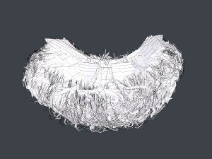 Facial Hair Cards Style 9 - Curly Goatee Beard Modelo 3D