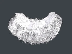 Carte per peli del viso Stile 9 - Barba con pizzetto riccio Modello 3D