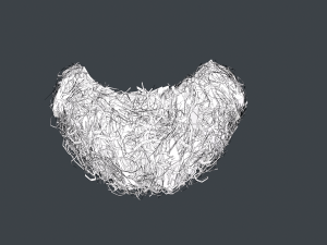 Facial Hair Cards Style 9 - Curly Goatee Beard Modelo 3D
