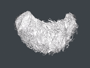 Facial Hair Cards Style 9 - Curly Goatee Beard Modelo 3D