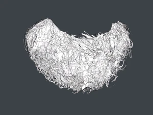 Carte per peli del viso Stile 9 - Barba con pizzetto riccio Modello 3D