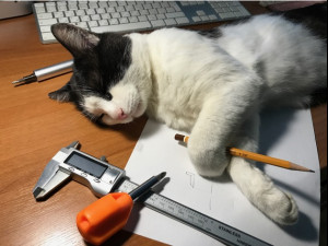 screwdriver arrot 3D-Druckmodell