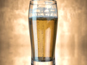 बियर 3D मॉडल