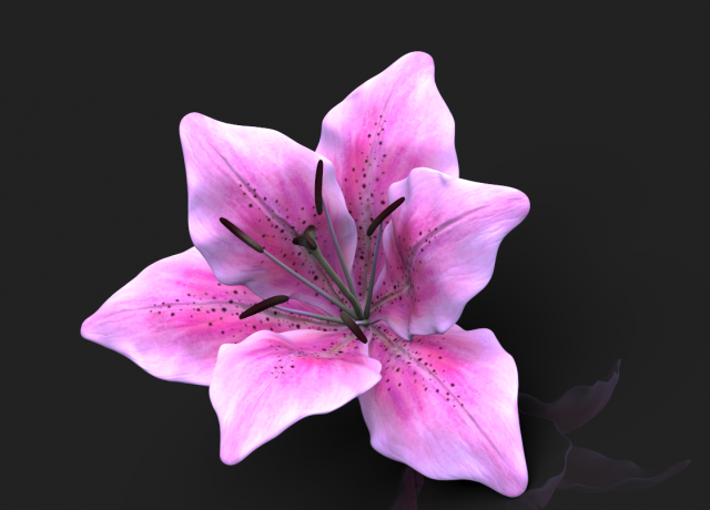 lily flower high poly 3D Model .c4d .max .obj .3ds .fbx .stl .blend