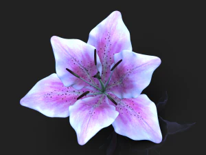 lily flower high poly 3D Model
