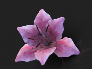 lily flower high poly 3D Model