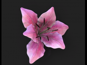 lily flower high poly 3D Model