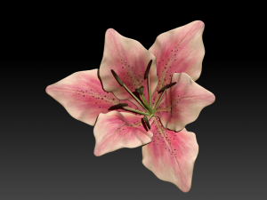 lily flower high poly 3D Model