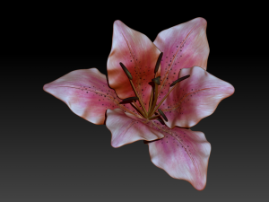 lily flower high poly 3D Model
