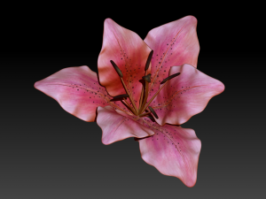 lily flower high poly 3D Model