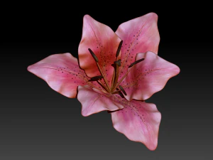 lily flower high poly 3D Model