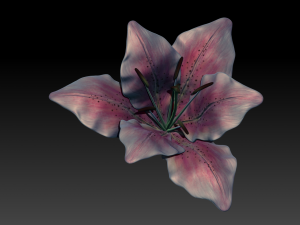 lily flower high poly 3D Model