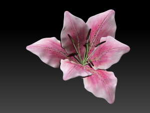 lily flower high poly 3D Model