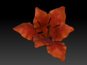 lily flower high poly 3D Model