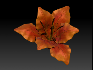lily flower high poly 3D Model