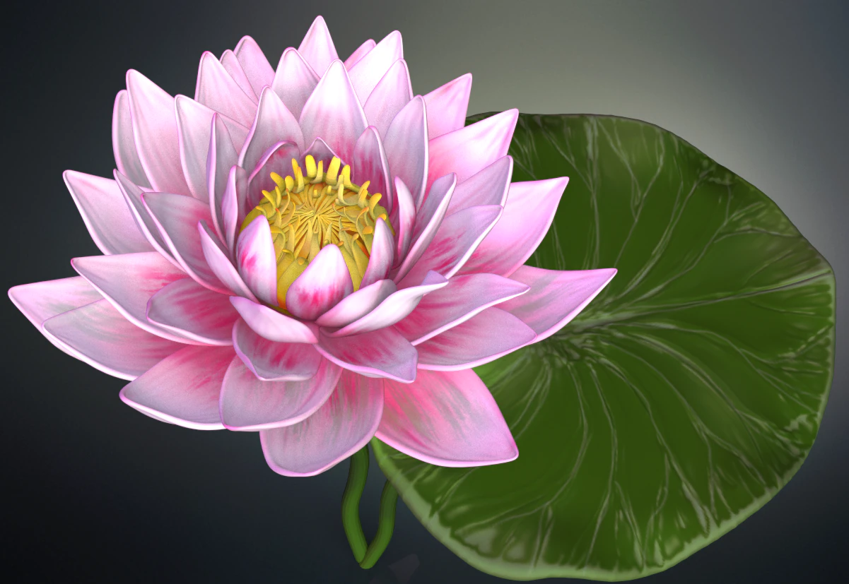 lotus flower high poly and 3d print 3D Model .c4d .max .obj .3ds .fbx .stl .blend 