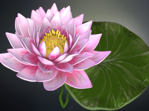 lotus flower high poly and 3d print 3D Model