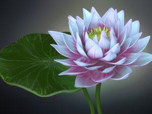 lotus flower high poly and 3d print Modèle 3D