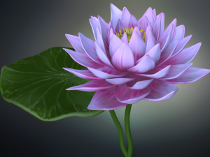 lotus flower high poly and 3d print Modèle 3D