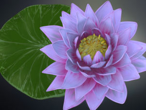 lotus flower high poly and 3d print Modèle 3D