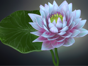 lotus flower high poly and 3d print Modèle 3D