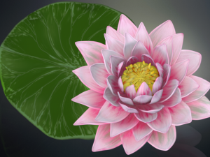 lotus flower high poly and 3d print Modèle 3D