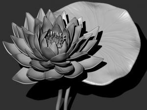lotus flower high poly and 3d print Modèle 3D