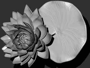 lotus flower high poly and 3d print Modèle 3D