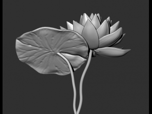 lotus flower high poly and 3d print Modèle 3D