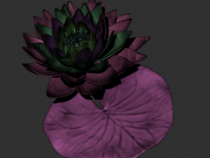 lotus flower high poly and 3d print Modèle 3D